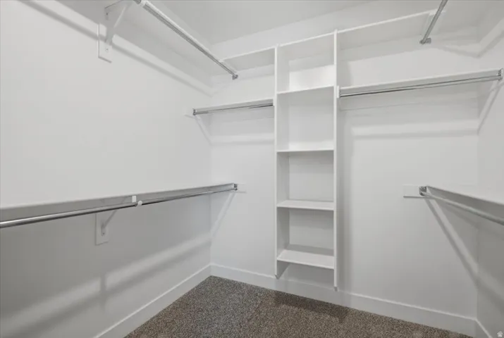 Walk-in closet with built-in shelving, multiple hanging rods, and neutral-toned carpeting