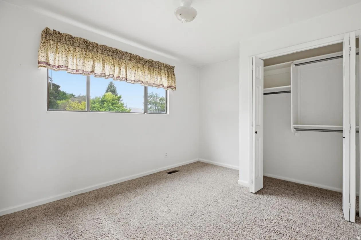 Carpeted room with a large window featuring a patterned valance