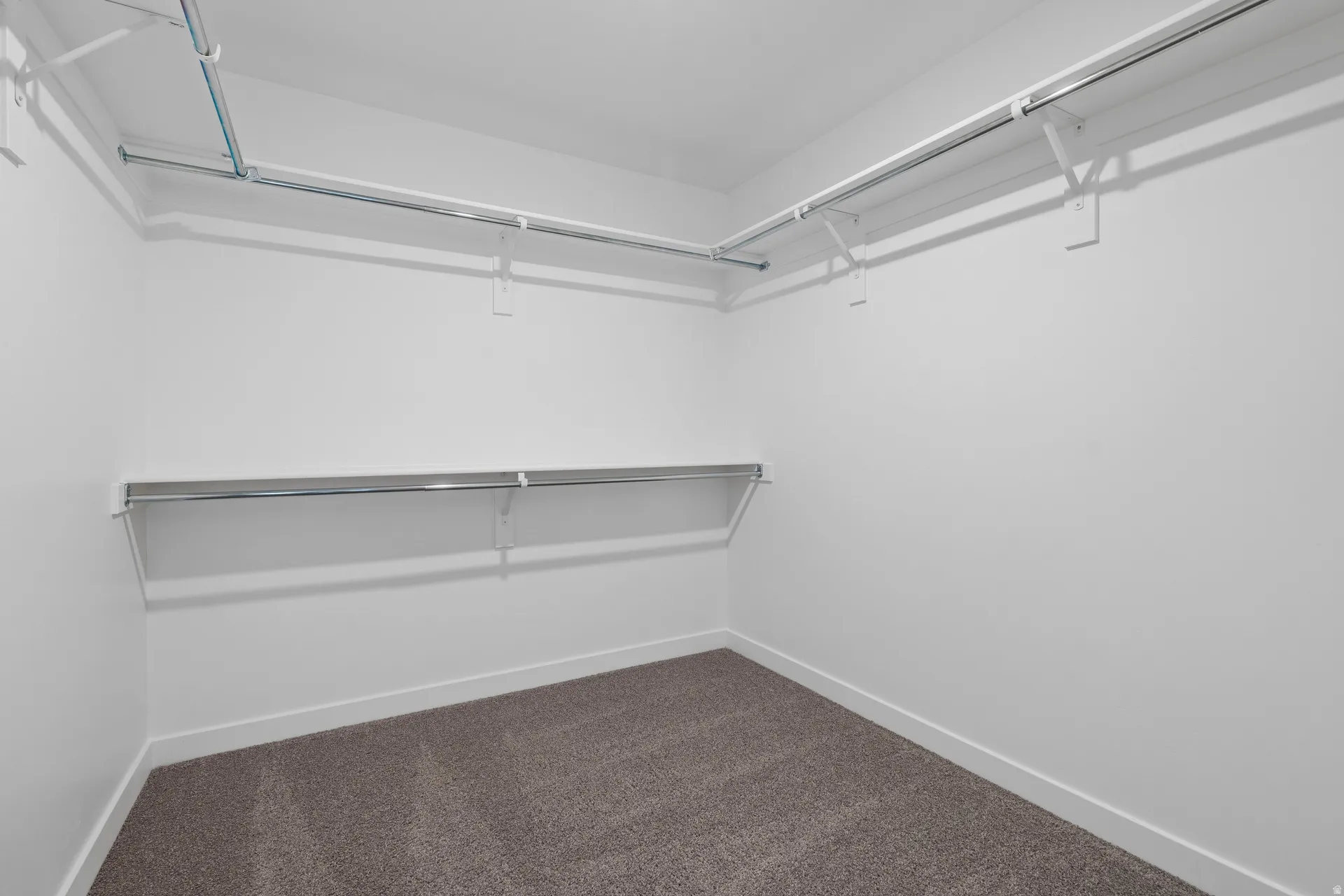 Walk-in closet featuring white walls, white trim, and a neutral-toned carpet