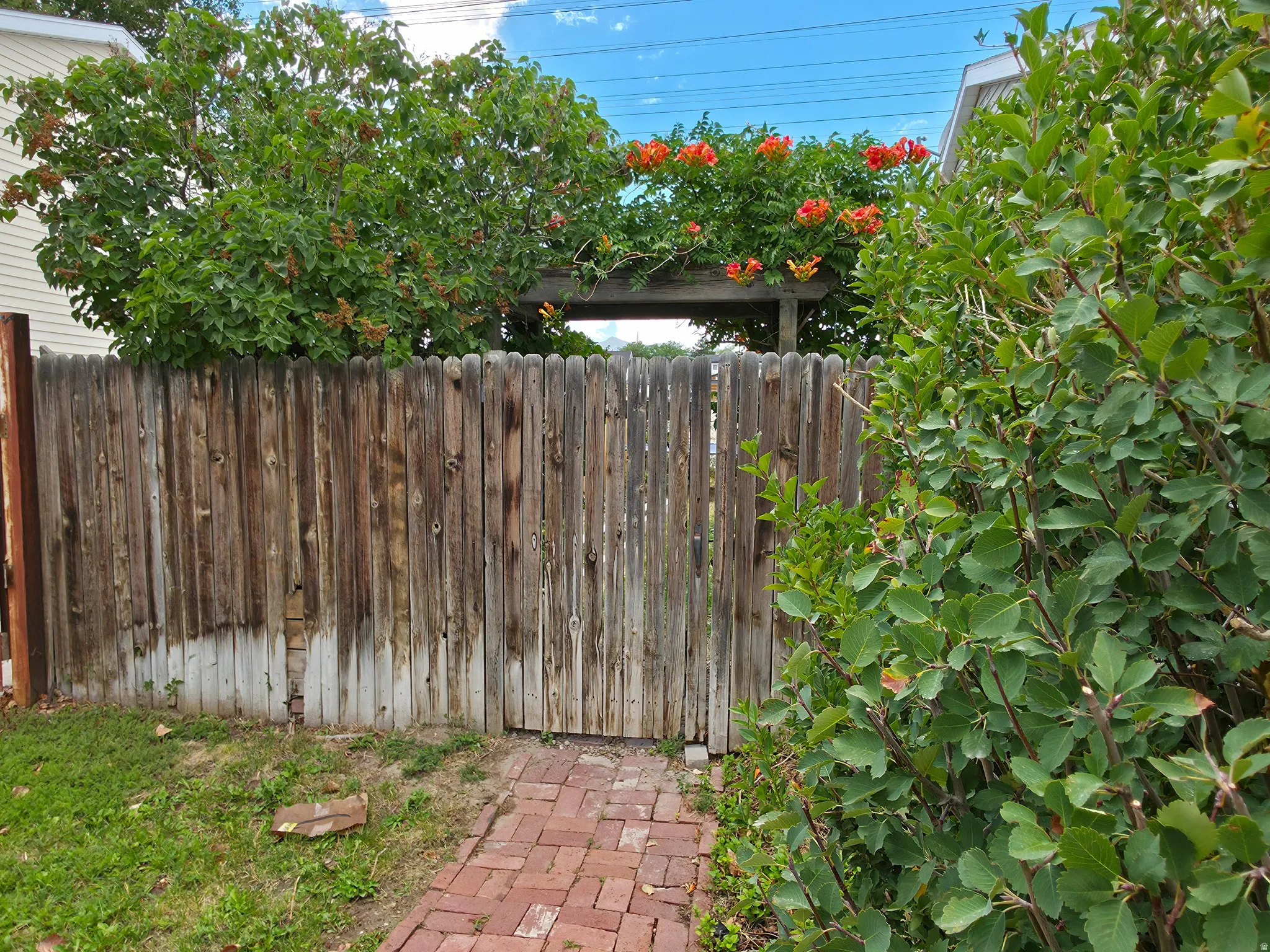 Gate from front yard to back yard on south side.
