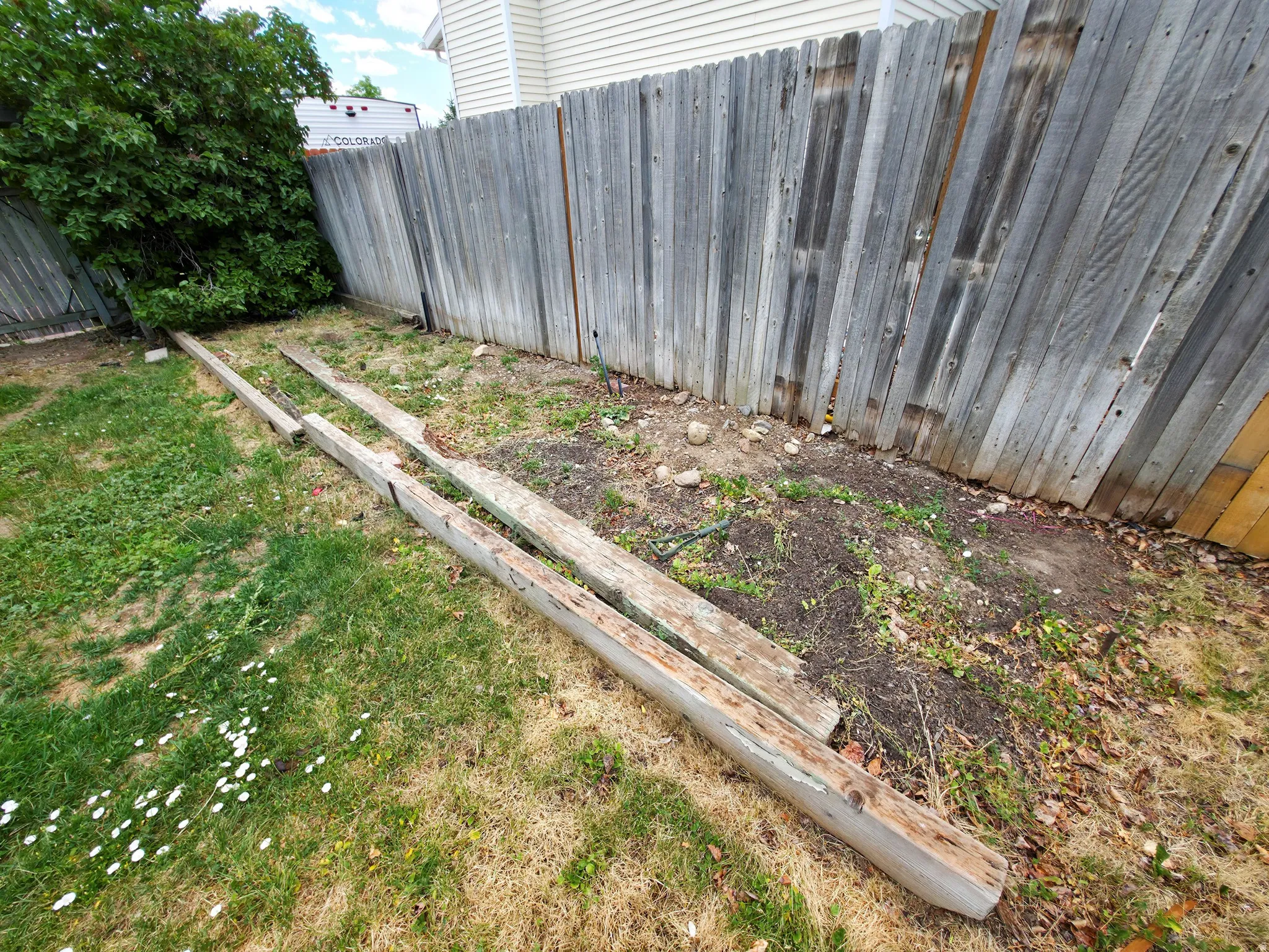 Vegetable garden.