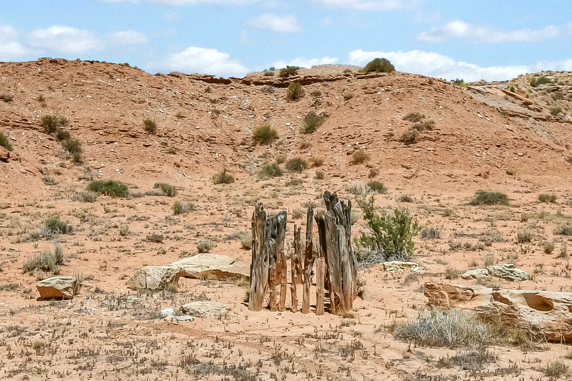 Desert Grave