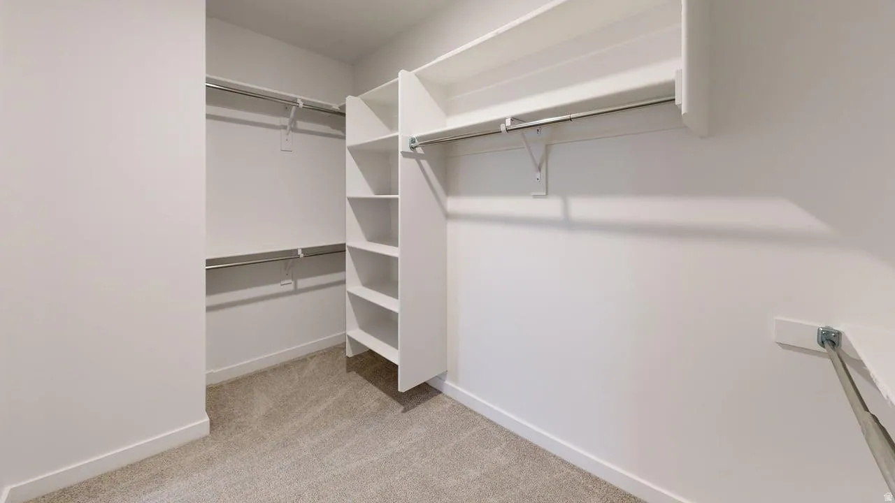 Spacious walk-in closet featuring light-colored carpeting, white walls, and built-in shelving