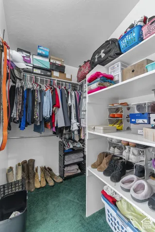 Walk-in closet featuring white walls, green carpeting, multiple hanging rods, and built-in shelving