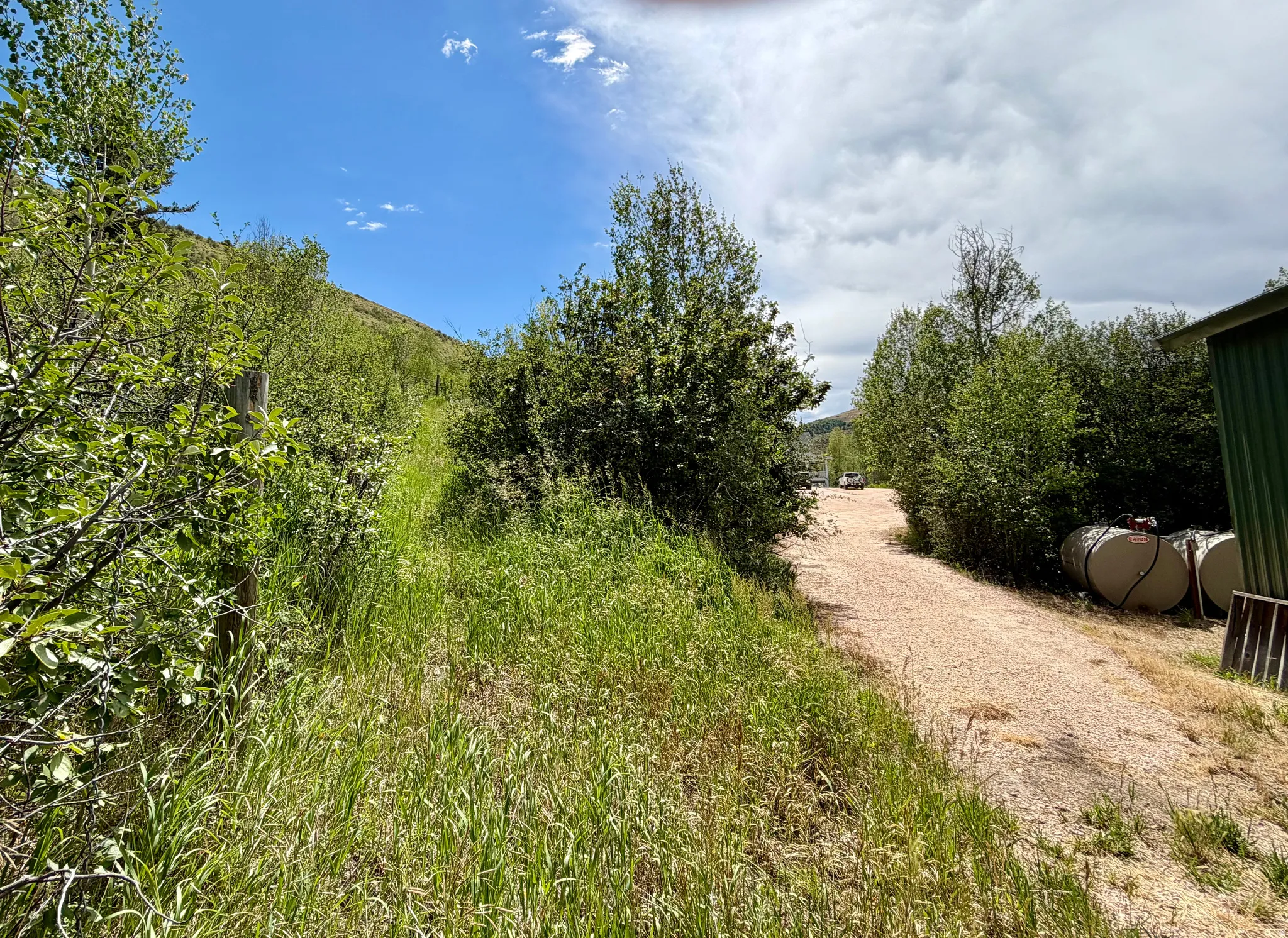 Convenient well maintained paths connect home to shed etc.