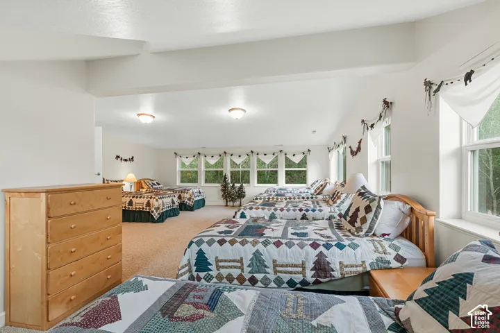Expansive room featuring light-toned carpeting and multiple windows