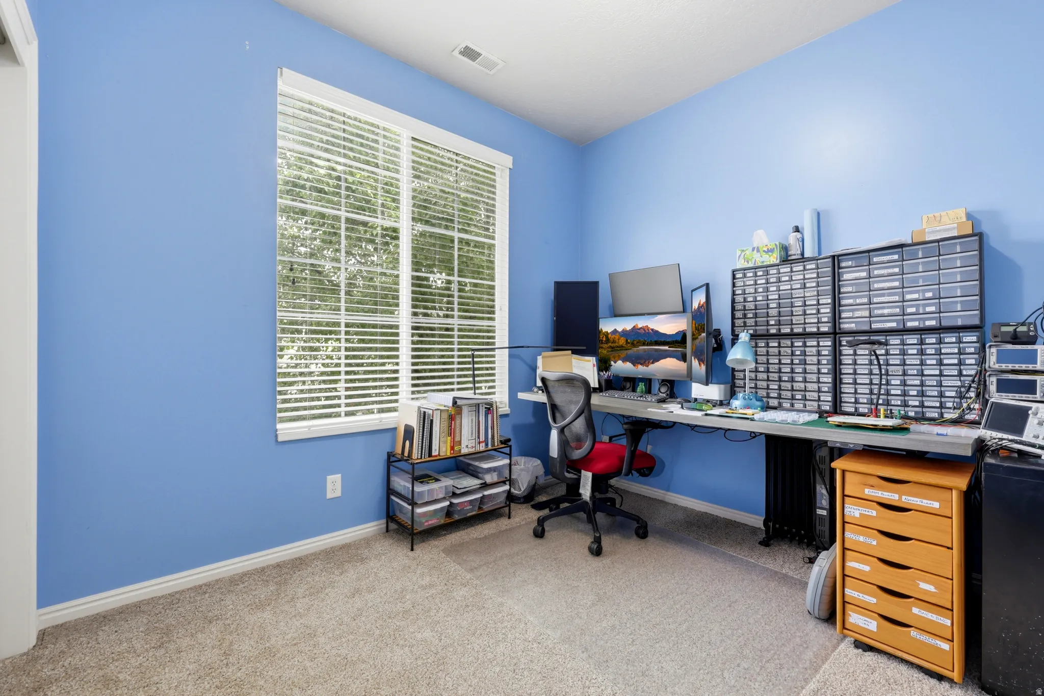 Carpeted room featuring a large window with white blinds, light blue wall paint, white trim, and a built-in overhead light fixture