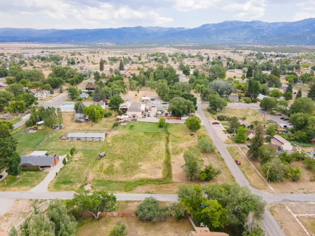 Expansive aerial perspective showcasing a residential area with varied housing styles and mature trees