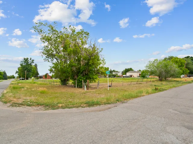 Corner lot featuring mature trees and a grassy expanse