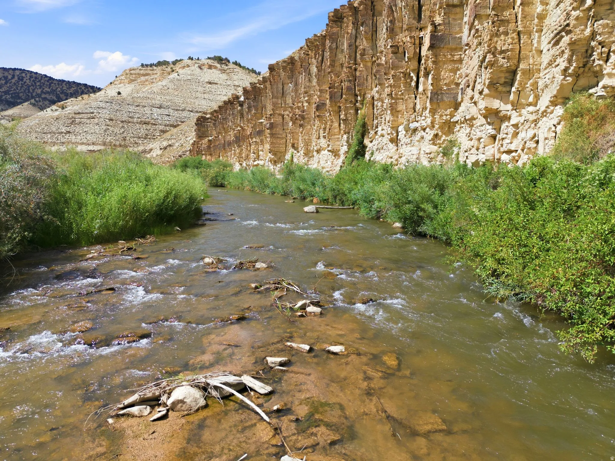 Strawberry River with clear running water bordered by lush green foliage