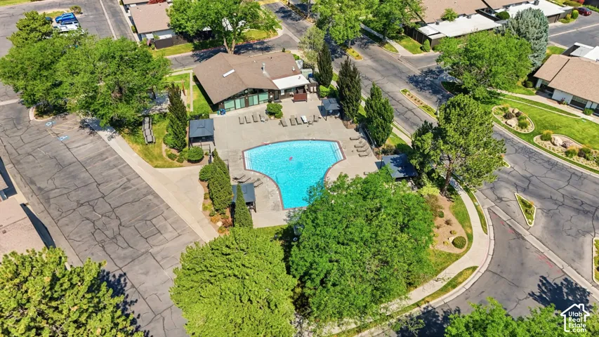 Resort-style pool with expansive surrounding hardscaping, sun loungers, and shaded seating areas