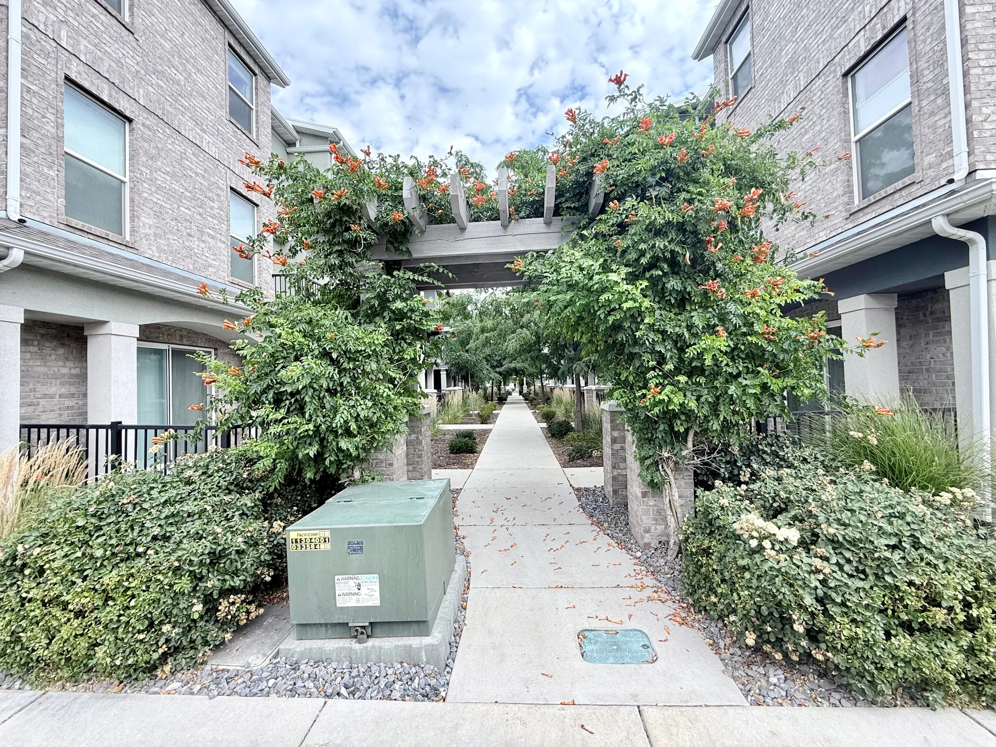 Pedestrian pathway featuring a decorative pergola with flowering vines, brick-clad townhome exteriors, and mature landscaping