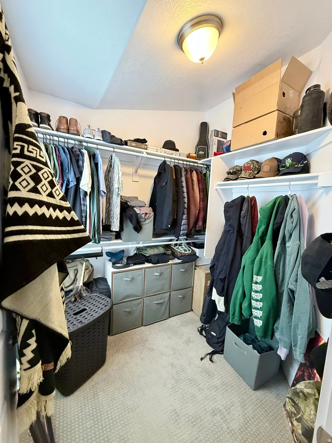 Walk-in closet featuring carpet flooring, built-in shelving, and hanging rods