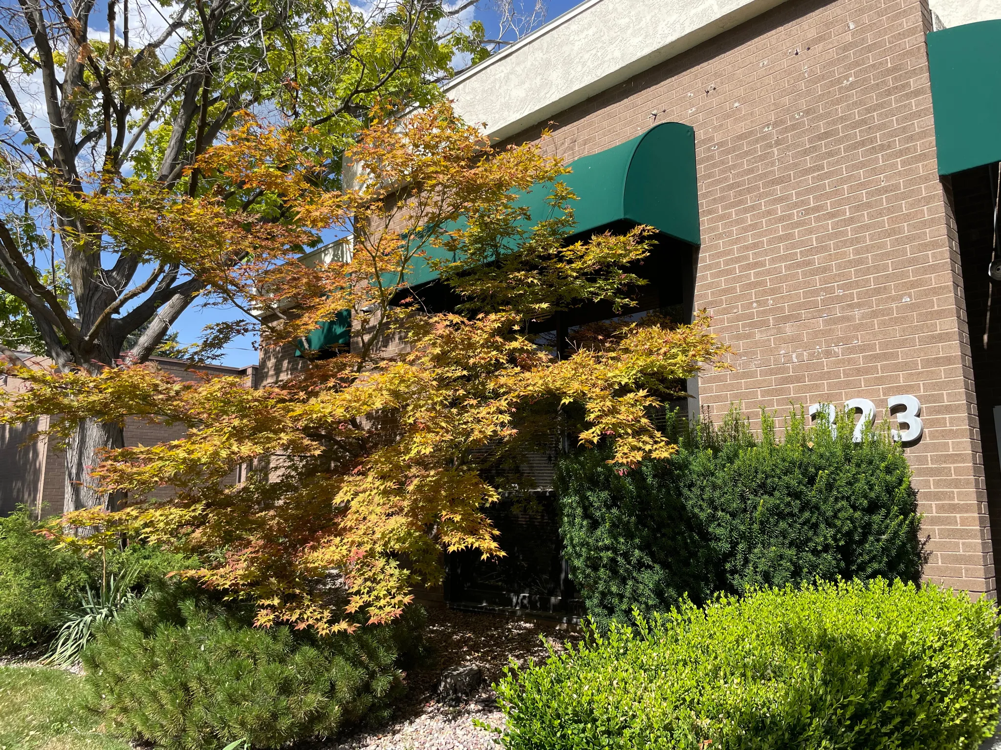Brick exterior with dark green awnings and address numbers "1123"