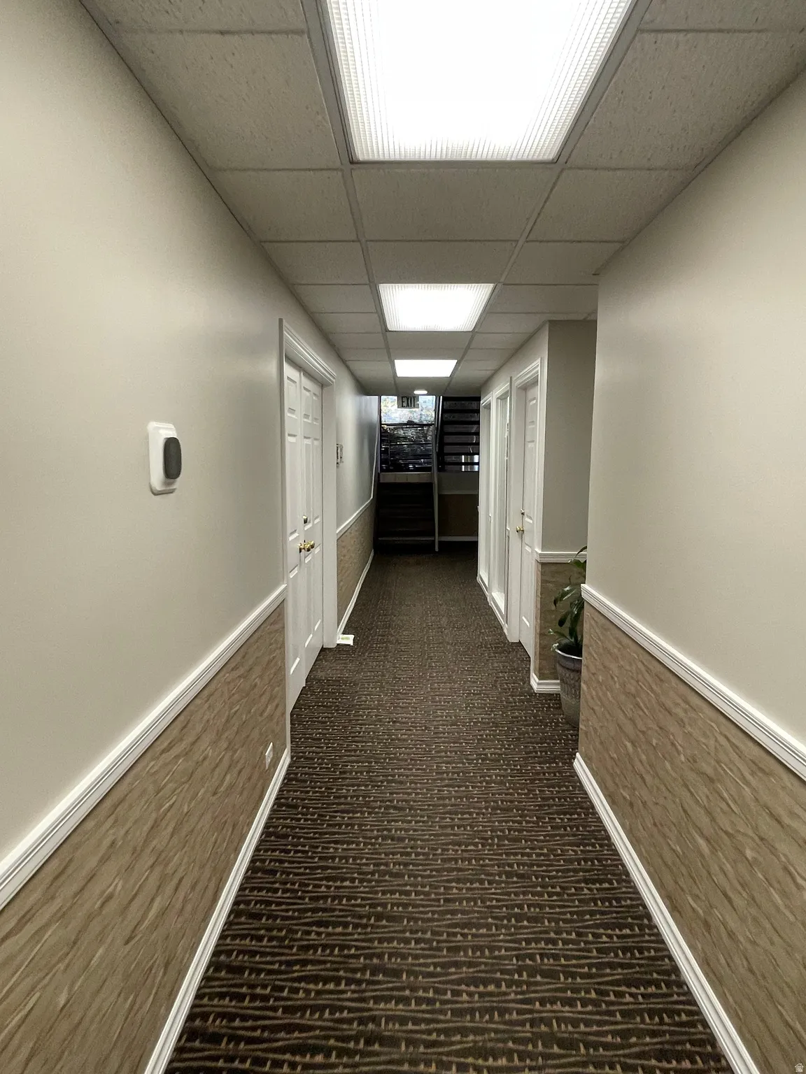 Carpeted hallway featuring a drop ceiling with recessed lighting