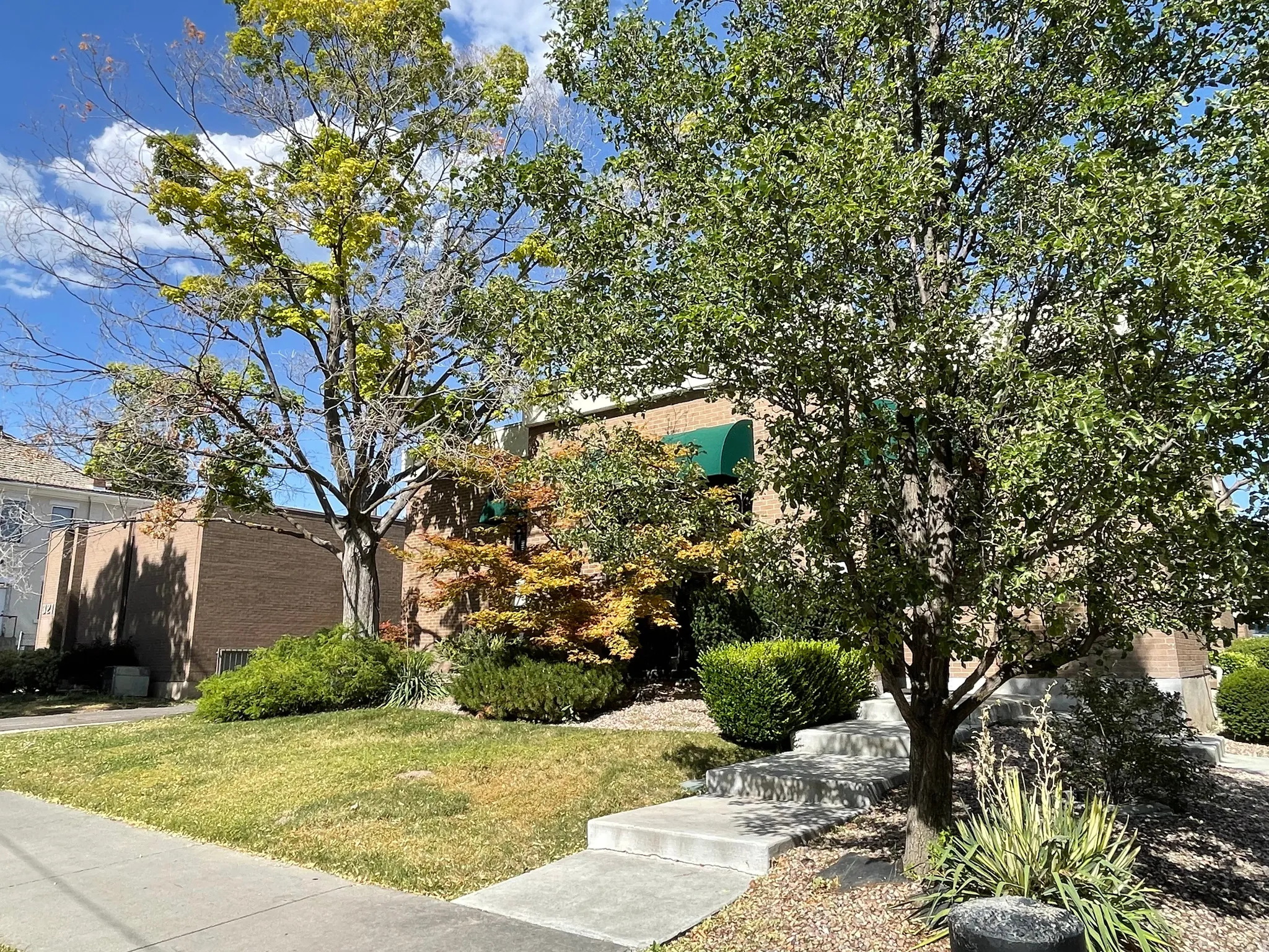 Brick exterior building with prominent green awnings