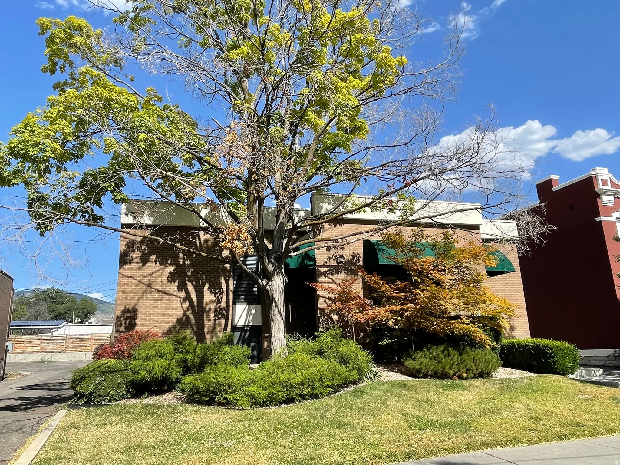 Brick exterior with a mature tree, green awnings, and established landscaping