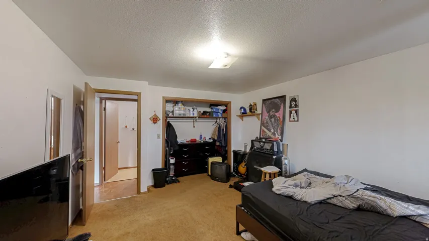 Carpeted room featuring light-colored walls and a ceiling light fixture