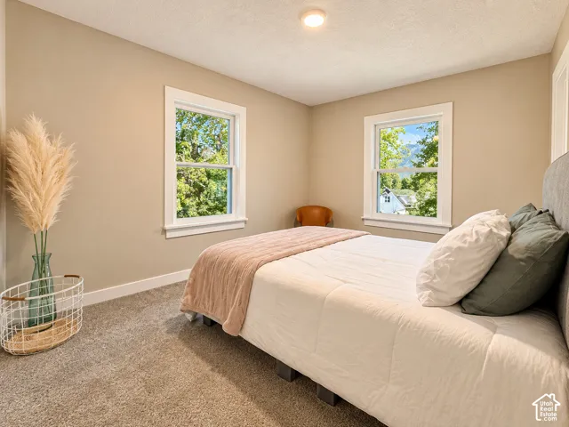 Plush wall-to-wall carpeting, two double-hung windows with white trim, and a flush-mount ceiling light fixture