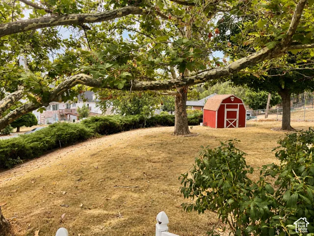 Expansive yard featuring mature trees and a detached red shed with white trim