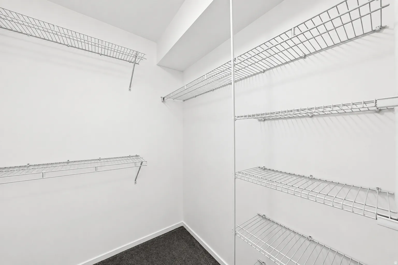 White-painted walk-in closet featuring wire shelving, wall-mounted racks, and dark-toned carpeting