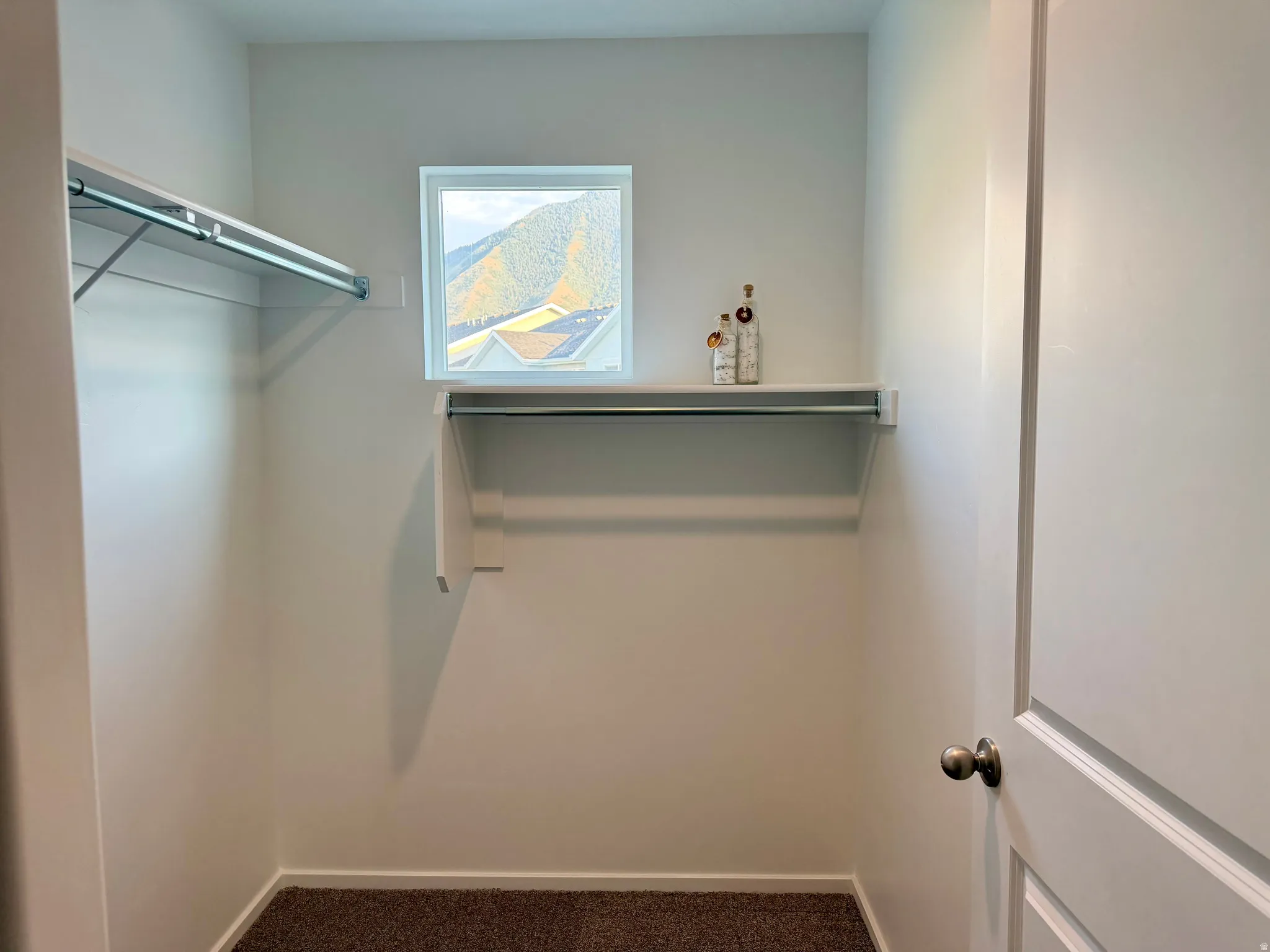 Walk-in closet featuring a window, built-in shelving, hanging rods, and carpet flooring