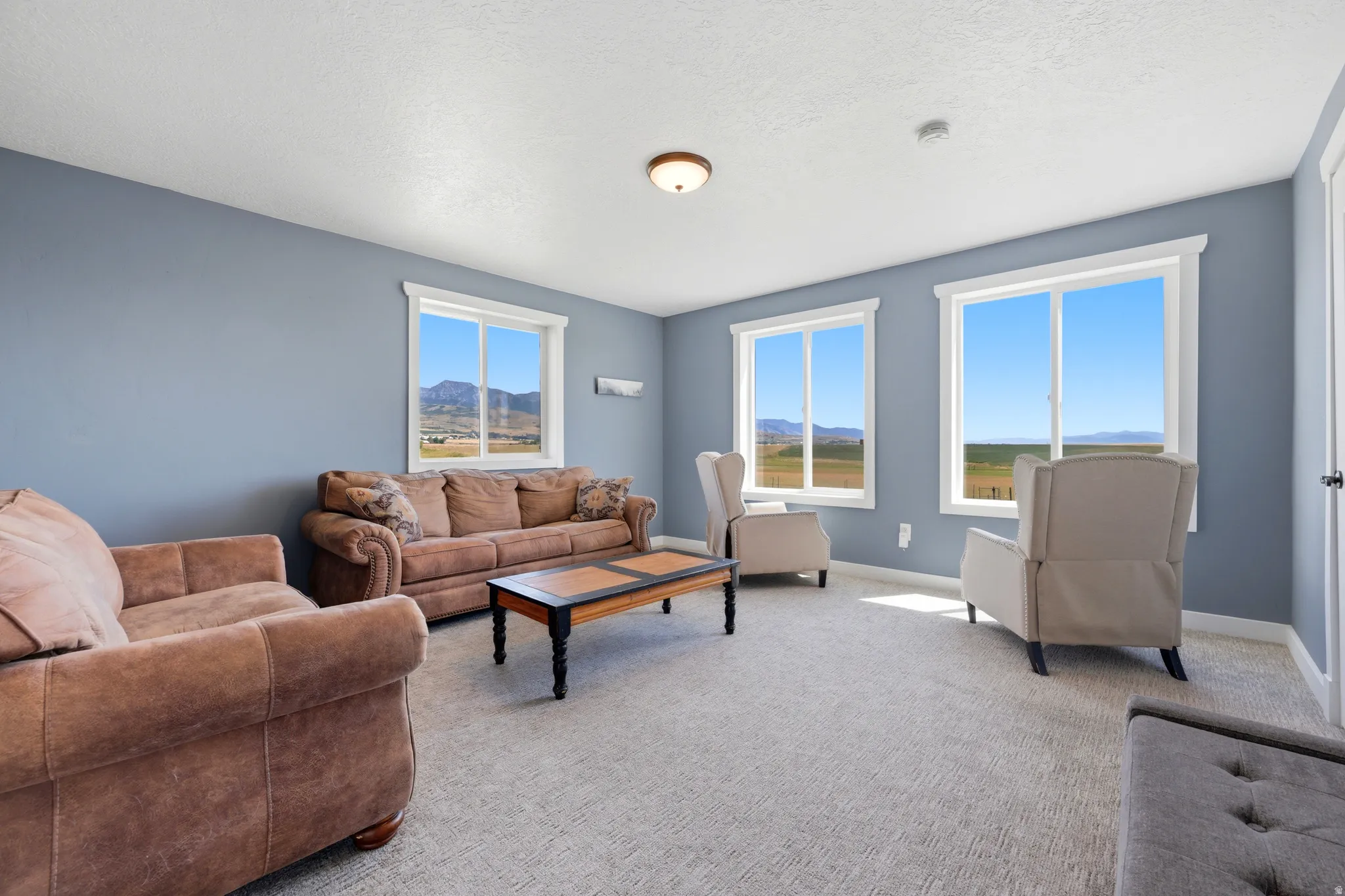 Carpeted room with blue walls and multiple windows