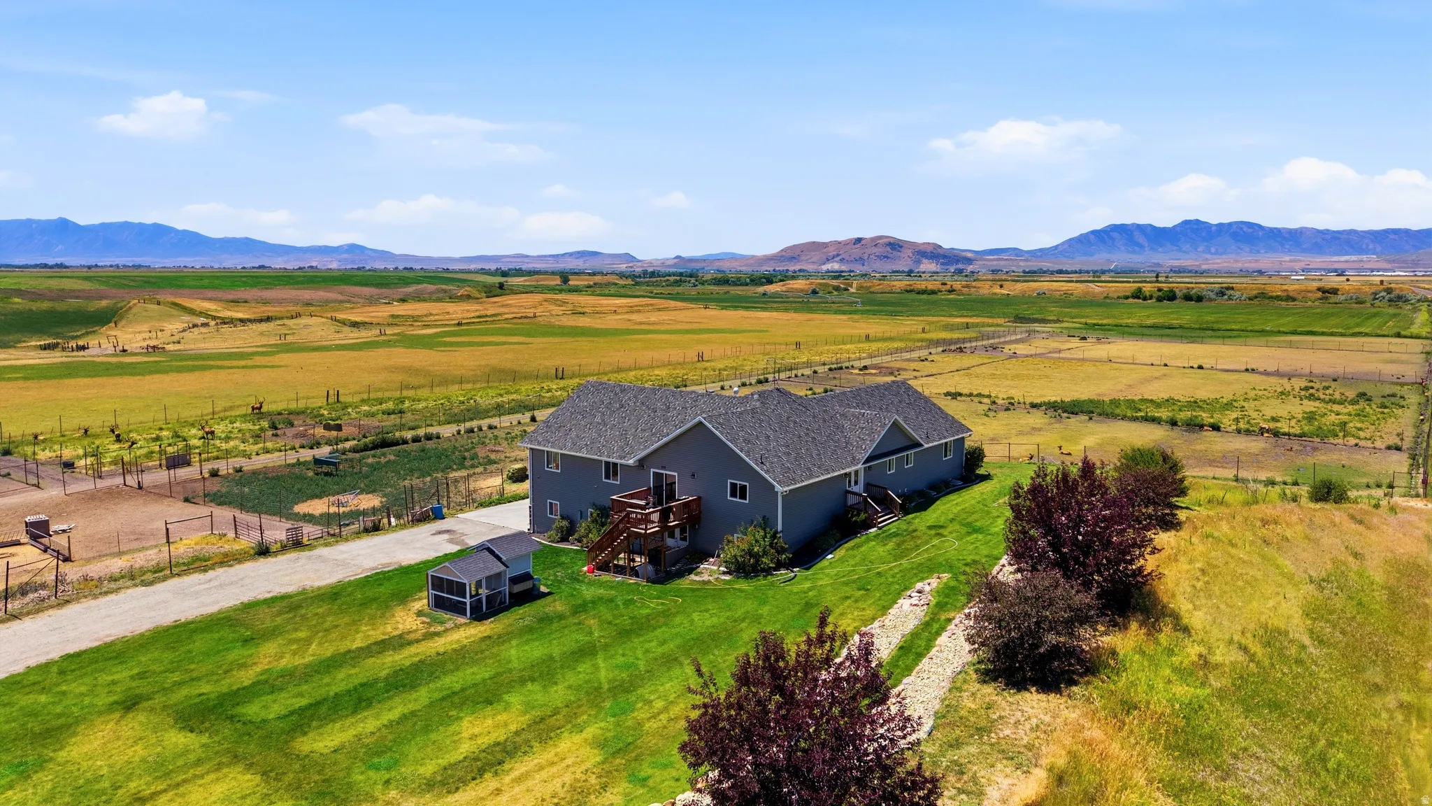 Ranch-style residence featuring a gray exterior siding and a dark shingle roof