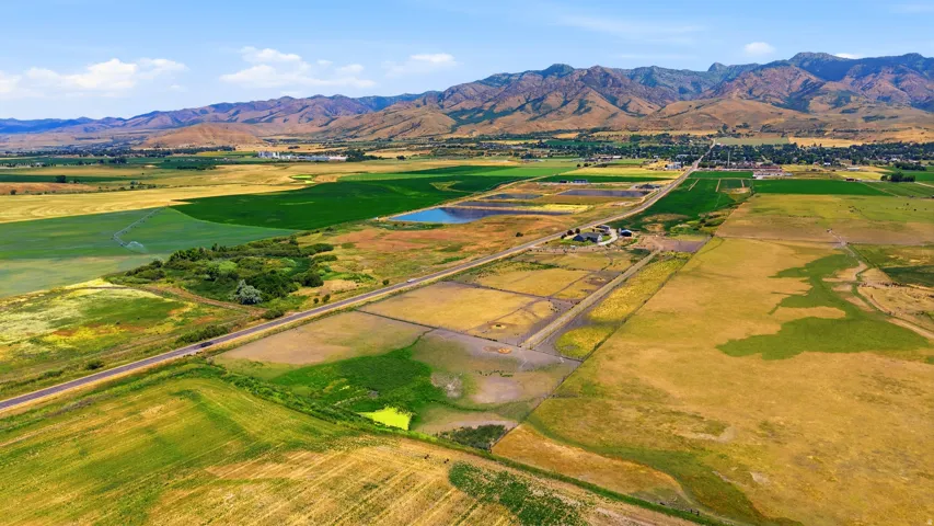 Expansive agricultural acreage featuring diverse fields, a natural pond, and a paved roadway