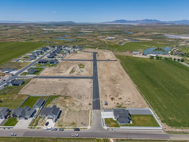 Aerial perspective showcasing new residential development with established homes and undeveloped land parcels