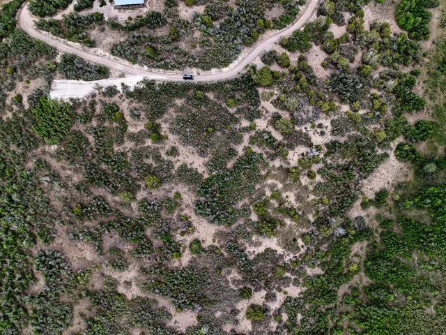 View from Straight above.