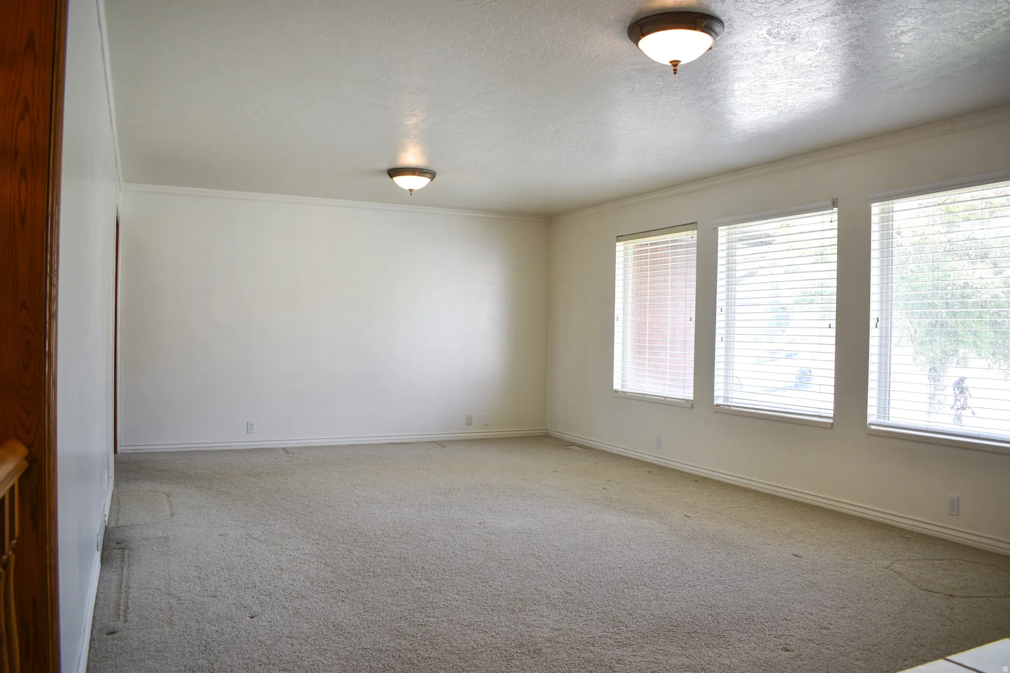 Spacious room featuring three large windows with blinds, crown molding, and two ceiling-mounted light fixtures