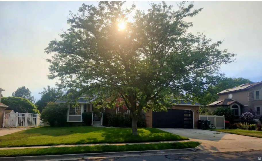 Single-story residence featuring a two-car garage with a contemporary door, a manicured front lawn, and mature front yard tree