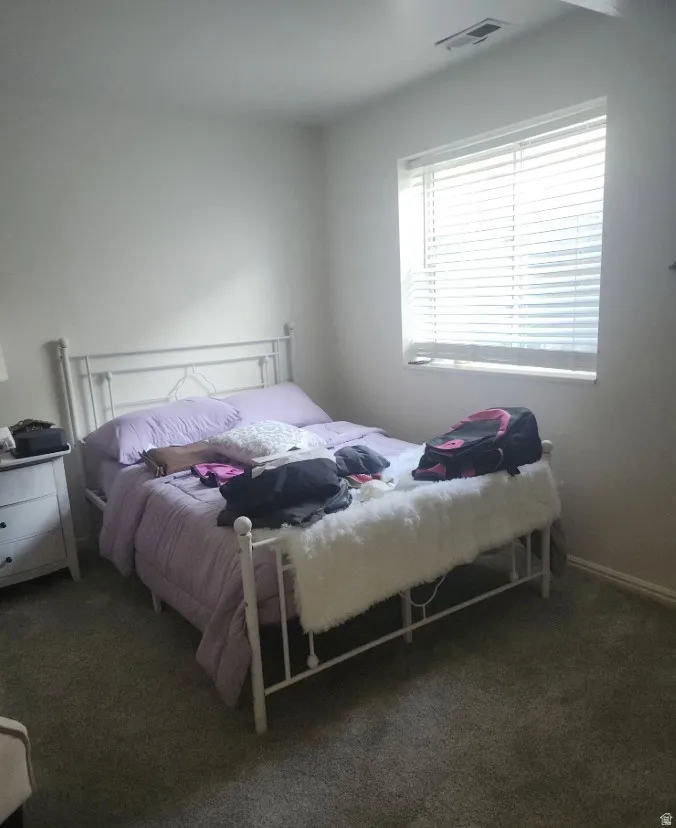5th Bedroom, basement, carpeted room featuring a single window with horizontal blinds, a white metal bed frame, and painted walls
