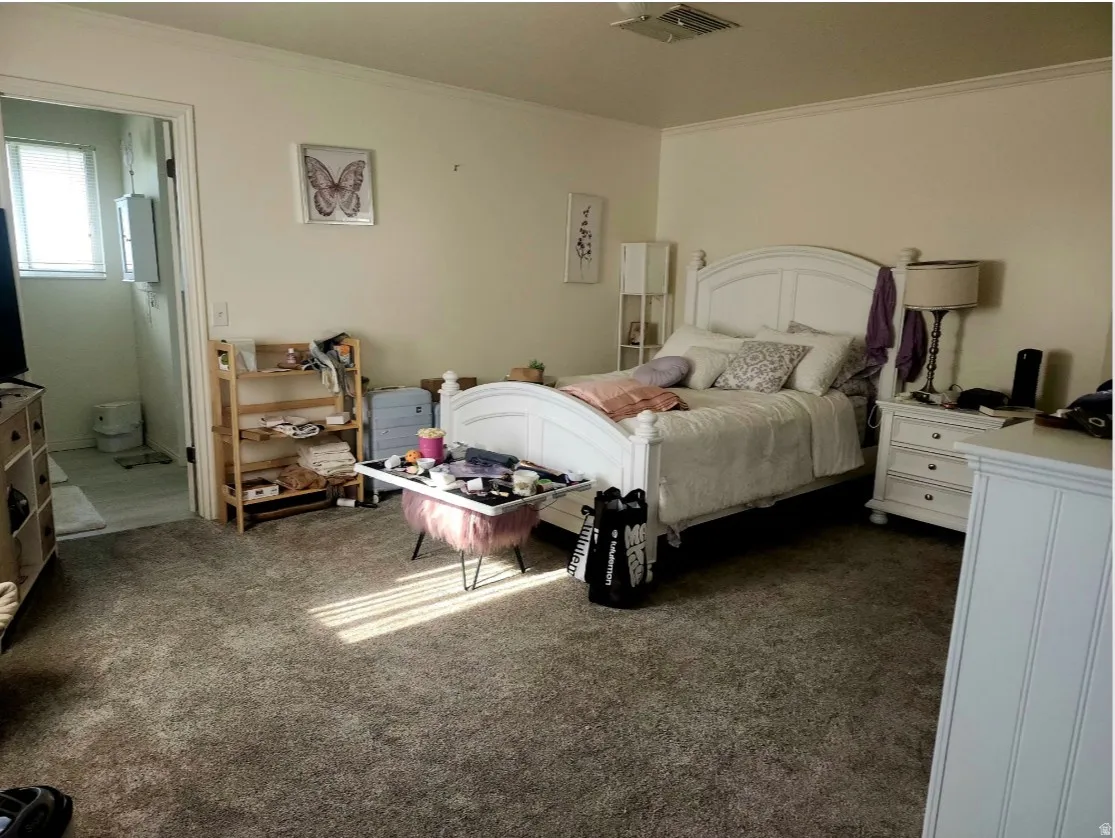 Primary Bedroom, Carpeted room featuring a white paneled bed frame, white walls, crown molding, and an attached bathroom with light-colored flooring and a window