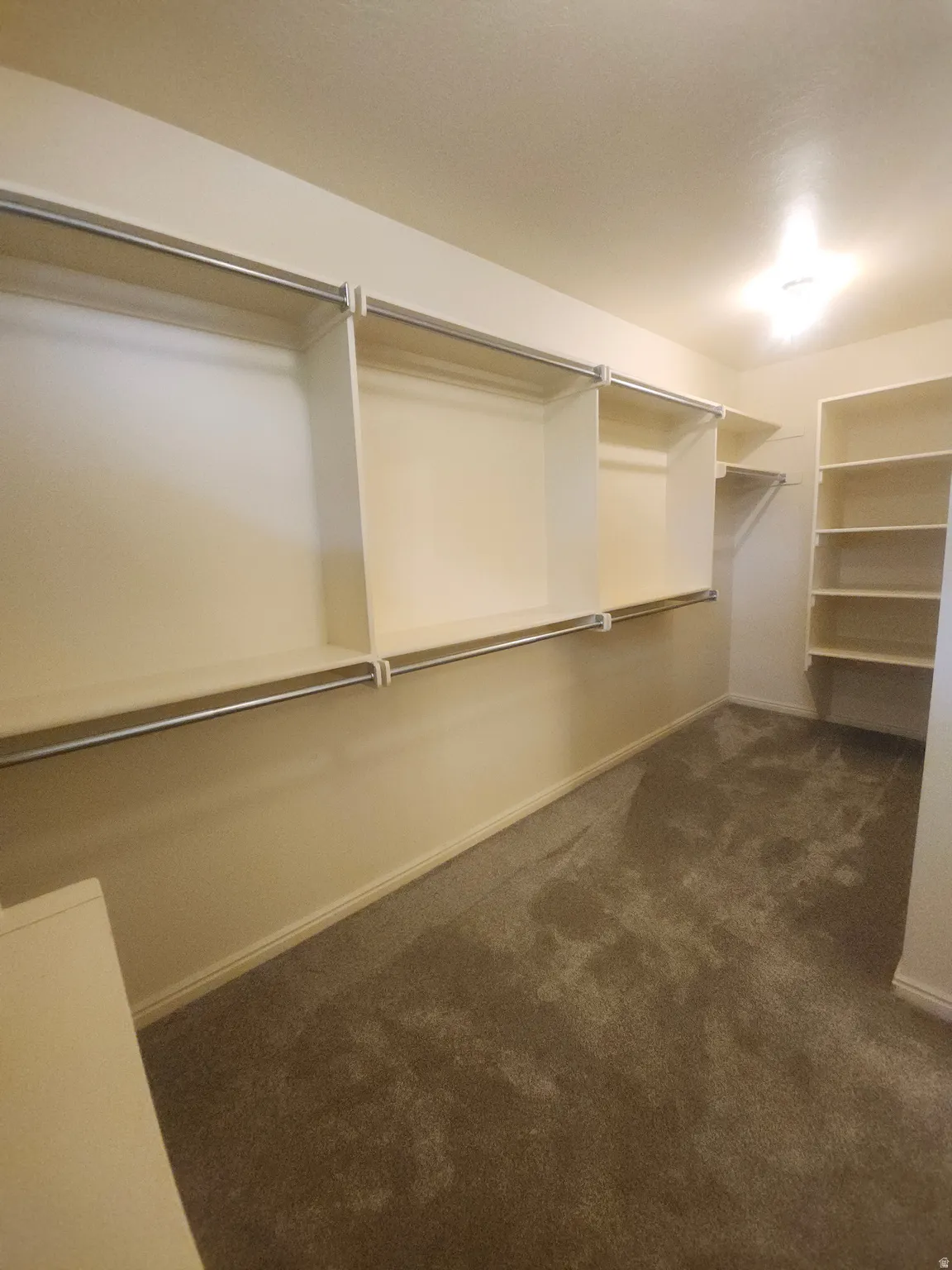 Extra large walk in closet. Built-in shelving, hanging rods, and carpeted flooring