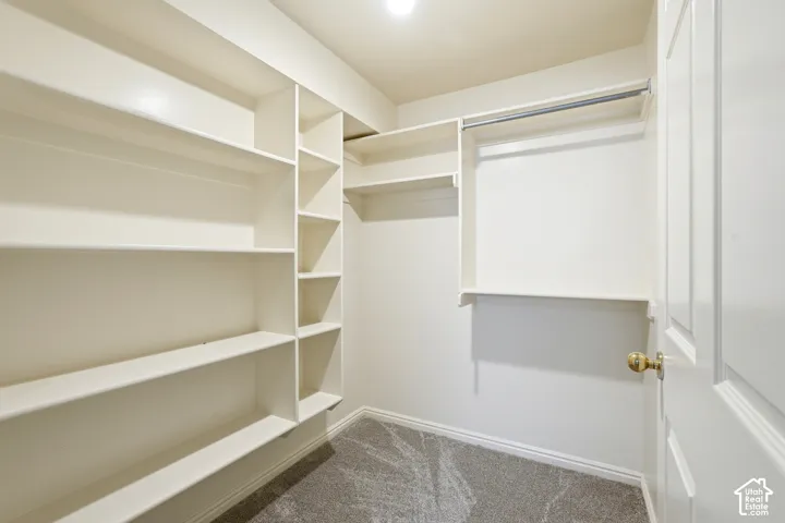 Walk-in closet featuring floor-to-ceiling built-in shelving, integrated hanging rods, wall-to-wall carpeting, and a swinging panel door