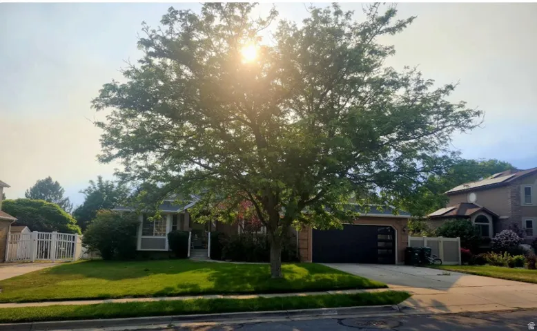 Single-story residence featuring a two-car garage with a contemporary door, a manicured front lawn, and mature front yard tree