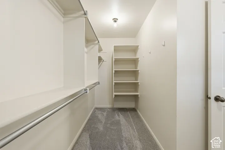 Walk-in closet featuring wall-to-wall carpeting, built-in shelving units, integrated hanging rods, and wall-mounted hooks