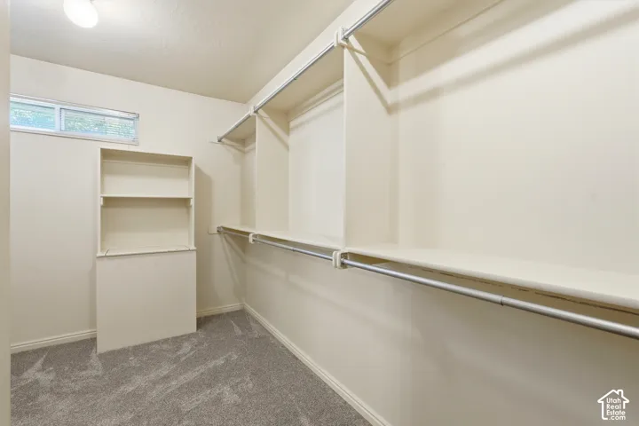 Walk-in closet featuring floor-to-ceiling built-in shelving, multi-level metal hanging rods, neutral carpeting, and a horizontal rectangular window