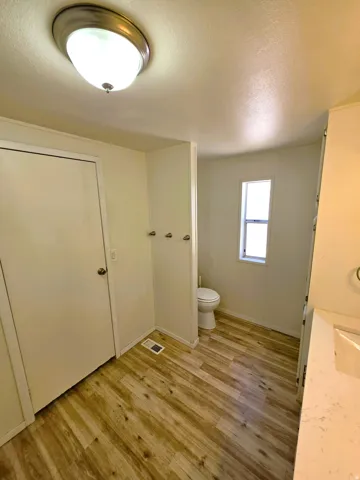 Primary Bathroom with wood-finish flooring, a white vanity with an integrated sink, and a flush-mount ceiling light