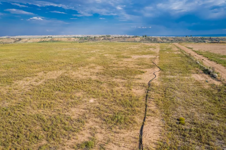Expansive open field with natural ground cover