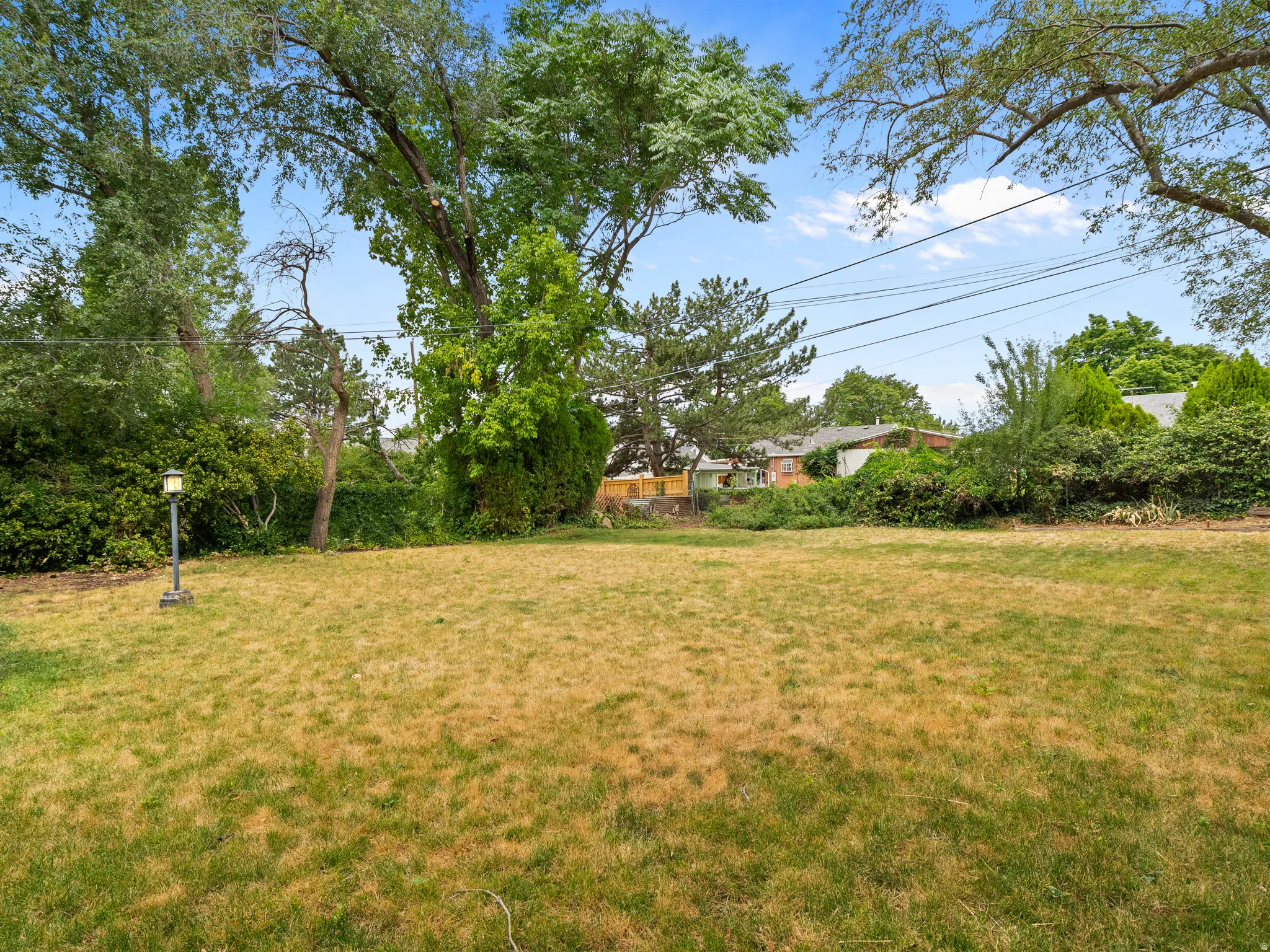 Expansive backyard featuring mature trees and a ground-mounted exterior light fixture