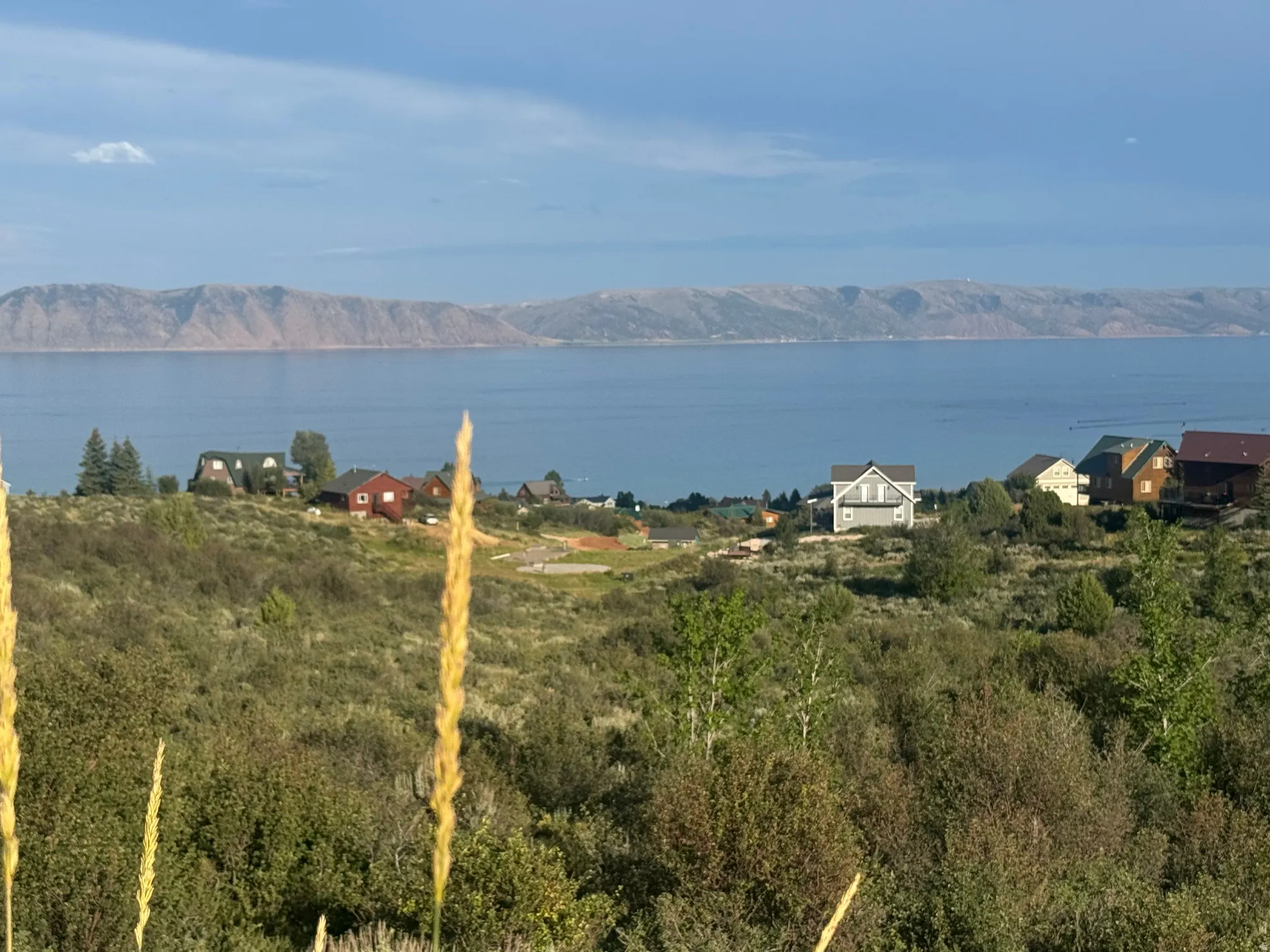 Expansive landscape featuring a large body of water, distant mountains, and a variety of natural foliage