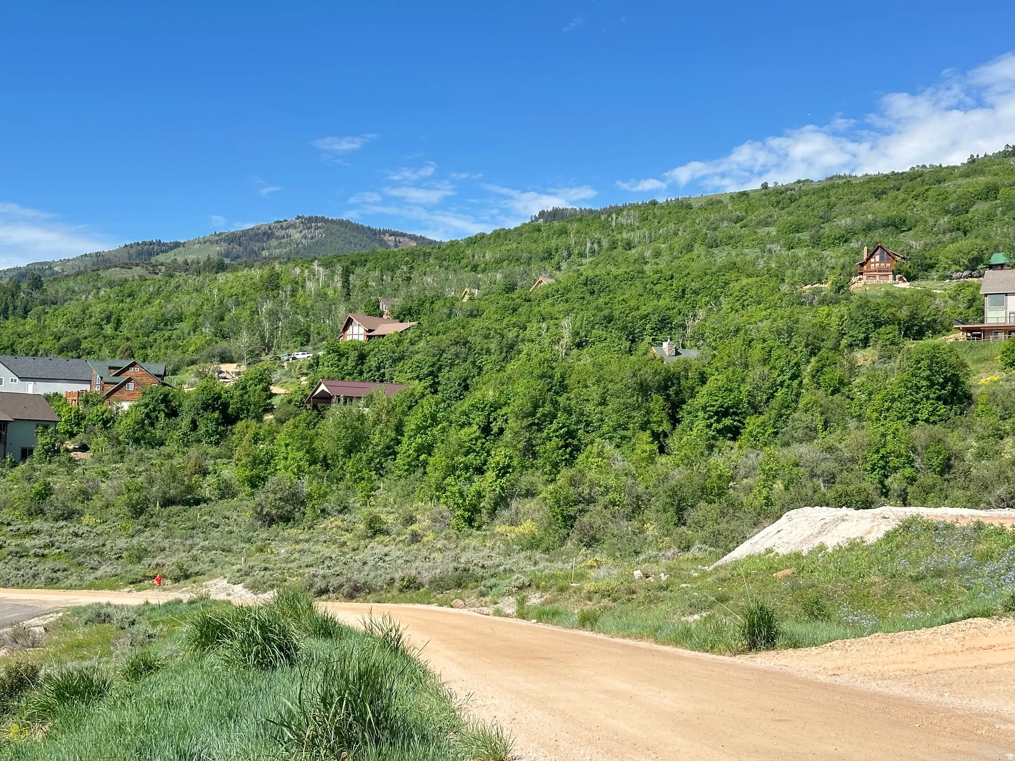 Hillside setting with mature trees and visible residential structures
