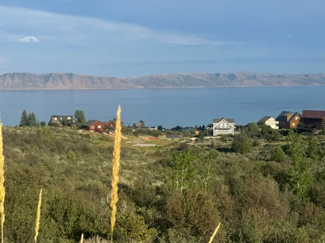 Expansive landscape featuring a large body of water, distant mountains, and a variety of natural foliage