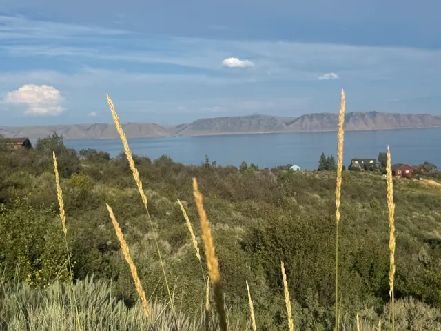 Expansive terrain featuring a body of water and distant mountains