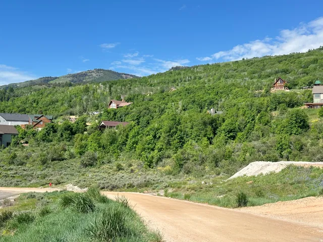 Hillside setting with mature trees and visible residential structures