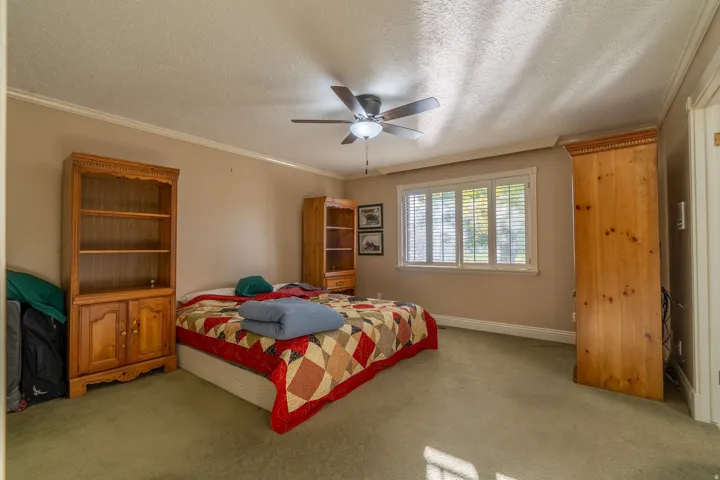 Carpeted room with a ceiling fan, crown molding, and a window featuring plantation shutters