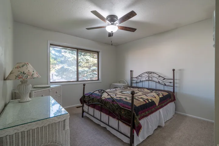 Carpeted room featuring a ceiling fan with integrated lighting, a window with a wooded backdrop, and light-colored wall paint